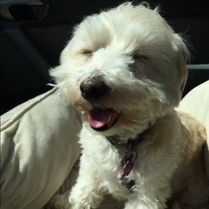 Meet your Posher, Carolina